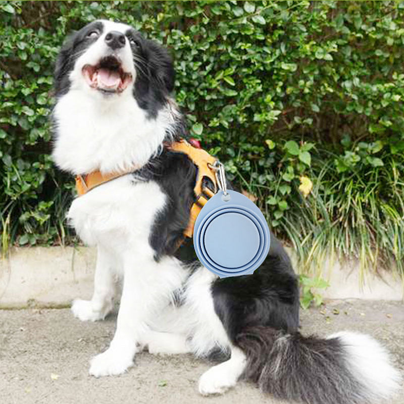 Foldable Silicone Pet Feeding Bowl For Outdoor Travel