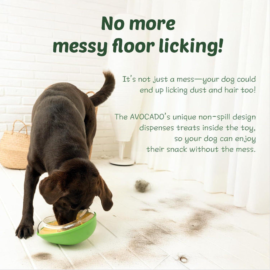 Anti-Tumble Avocado Pet Feeding Bowl Stand