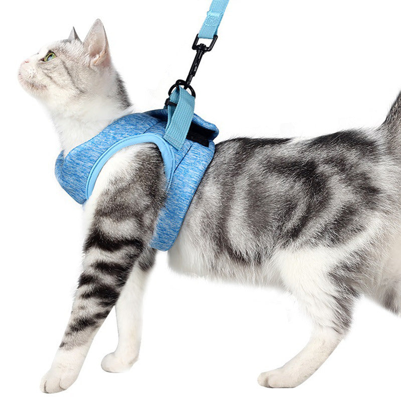 Breathable Lightweight Pet Chest Strap And Lace Leash