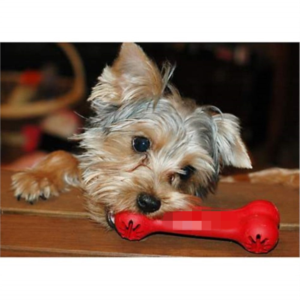 Pet Bite Resistant Rubber Teething And Chew Toy