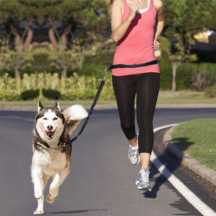 Adjustable Pet Harness Collar And Jogging Leash Set