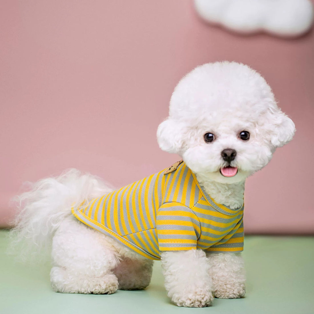 Breathable Summer Pet T-Shirt Apparel