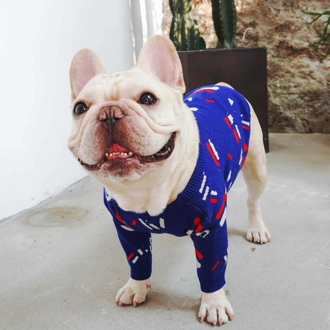 Warm Knitted Pet Sweater Apparel