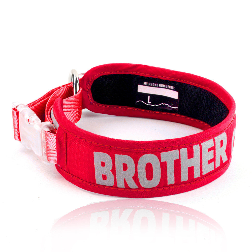 Heavy Duty Chest Strap Pet Leash With Storage Bag