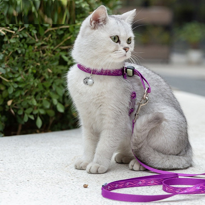 Pet Bell Chest Strap And Adjustable Leash Vest