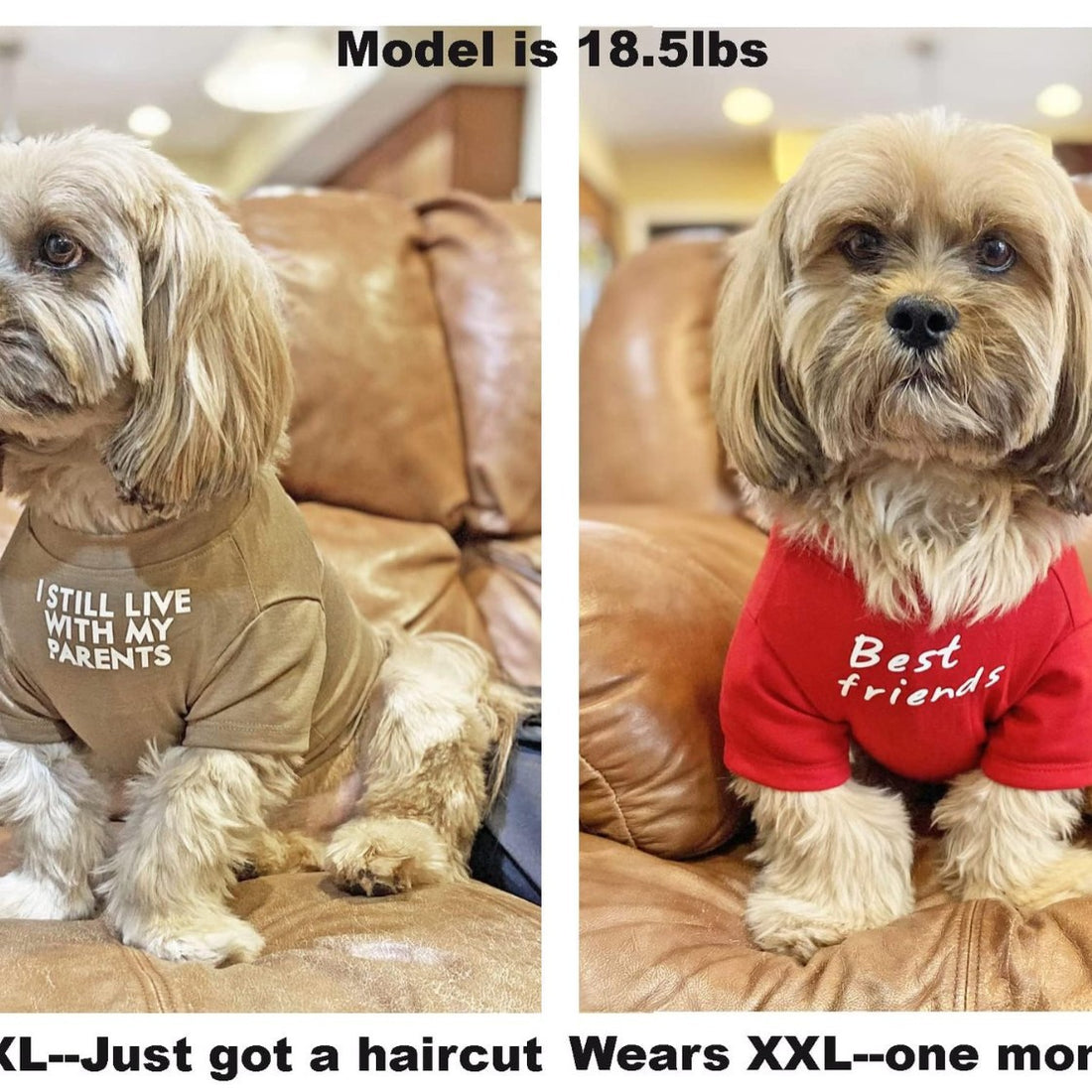 Round Neck Pet T-Shirt Apparel