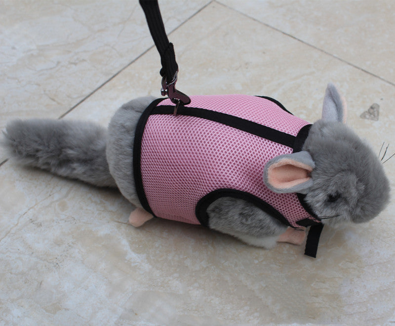 Compact Pet Leash For Small Pets Daily Walking