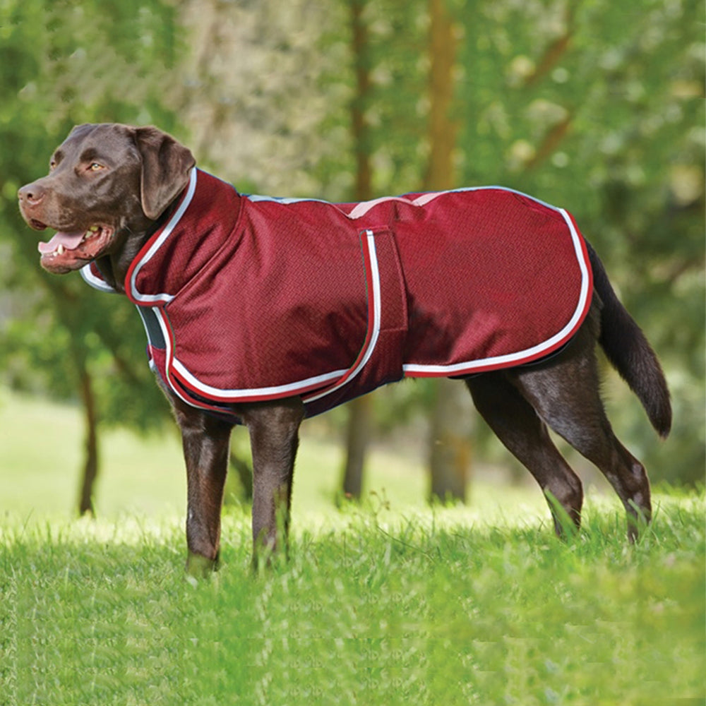 Warm Waterproof Pet Leisure Jacket Apparel
