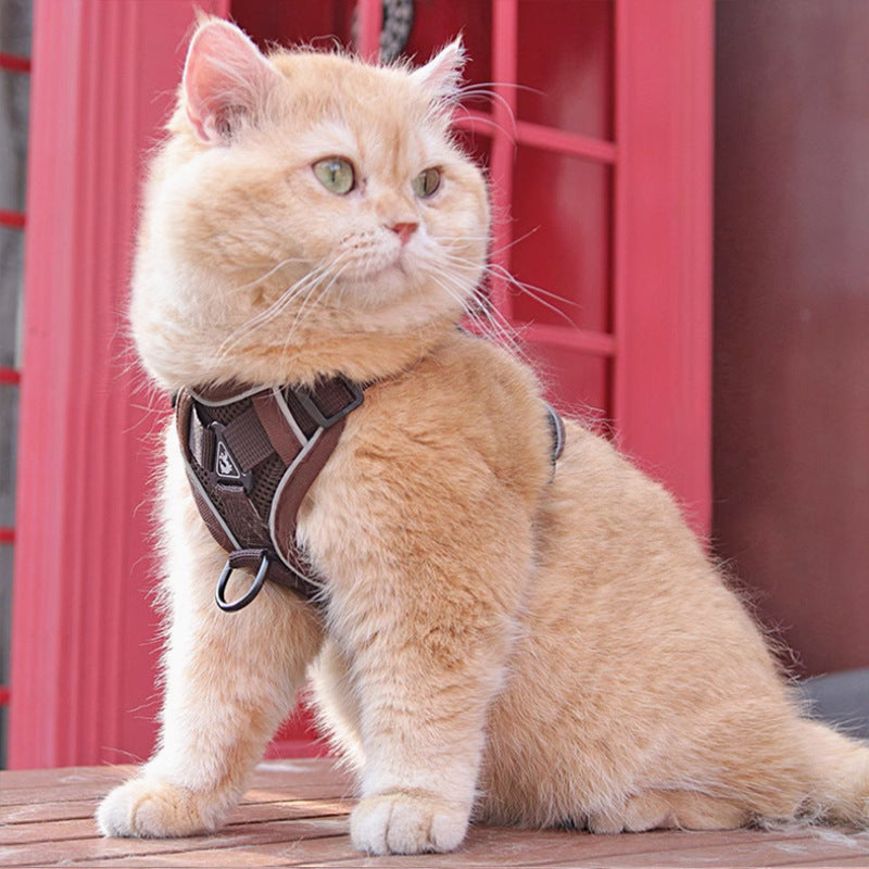 Adjustable Pet Harness Vest With Matching Leash Strap