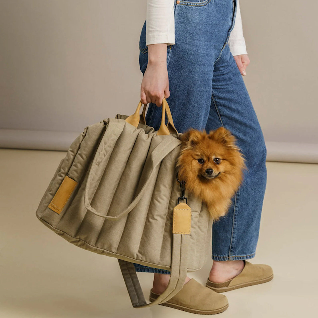 Waterproof Pet Carrier Handbag For Outdoor Travel