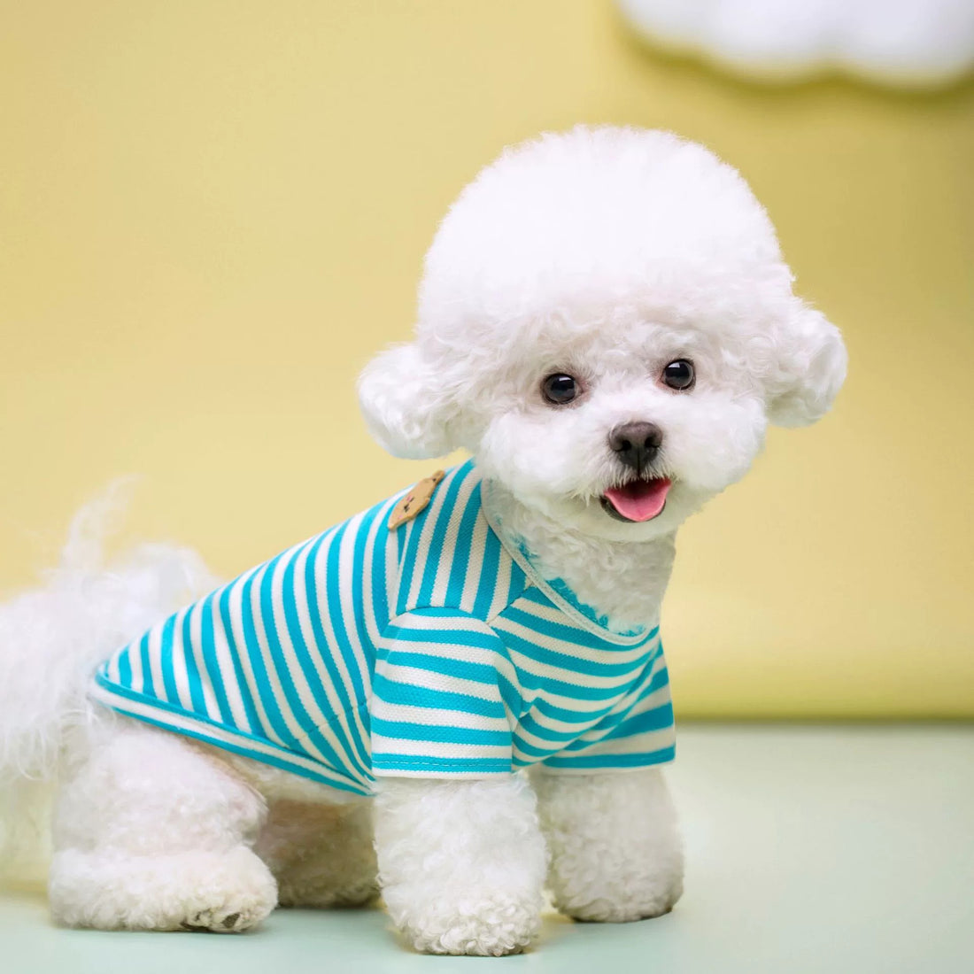 Breathable Summer Pet T-Shirt Apparel