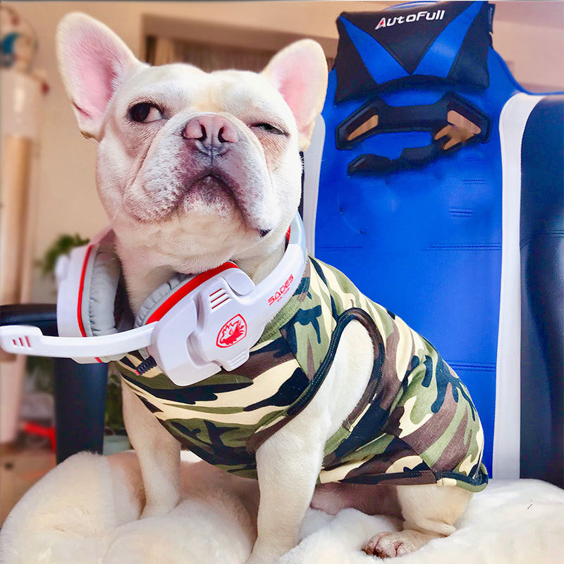 Fashionable Summer Pet T-Shirt Apparel