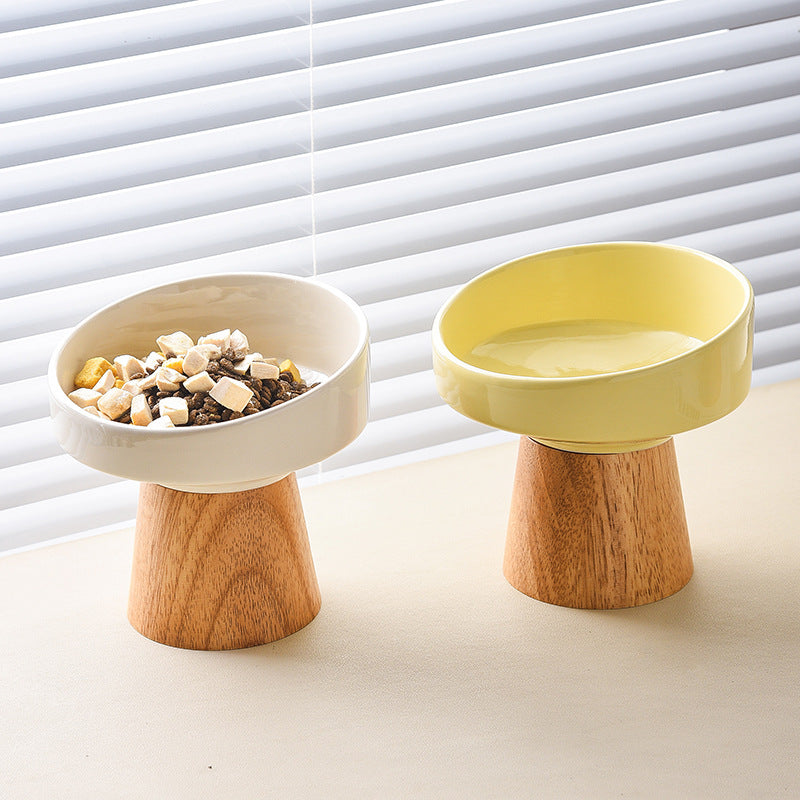 Elevated Ceramic Pet Food And Water Bowl Set