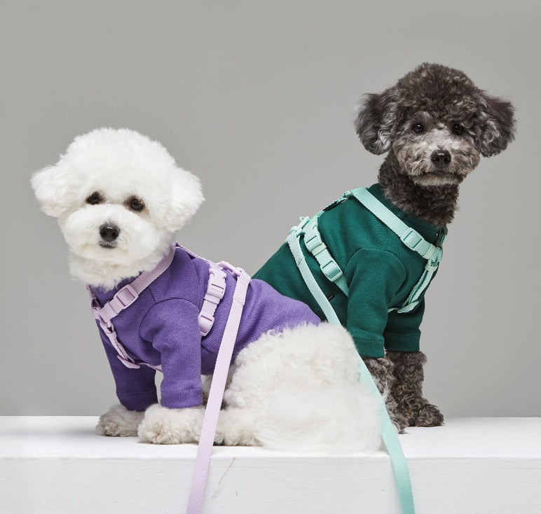 Macaron Style Fashion Pet Leash
