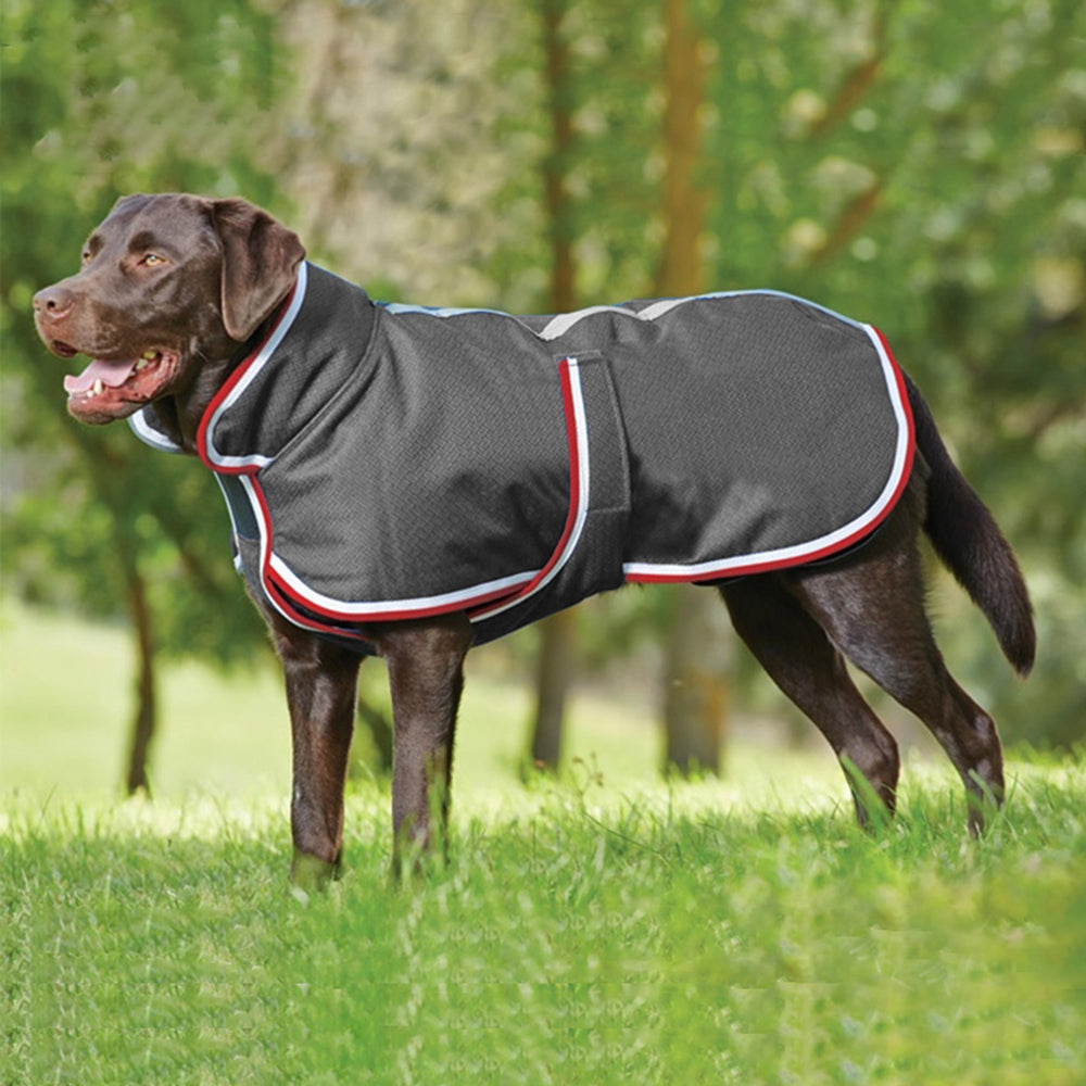 Warm Waterproof Pet Leisure Jacket Apparel