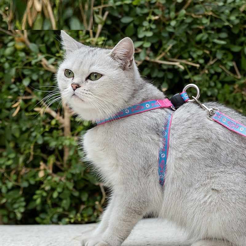 Pet Bell Chest Strap And Adjustable Leash Vest