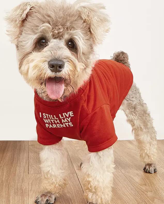 Round Neck Pet T-Shirt Apparel