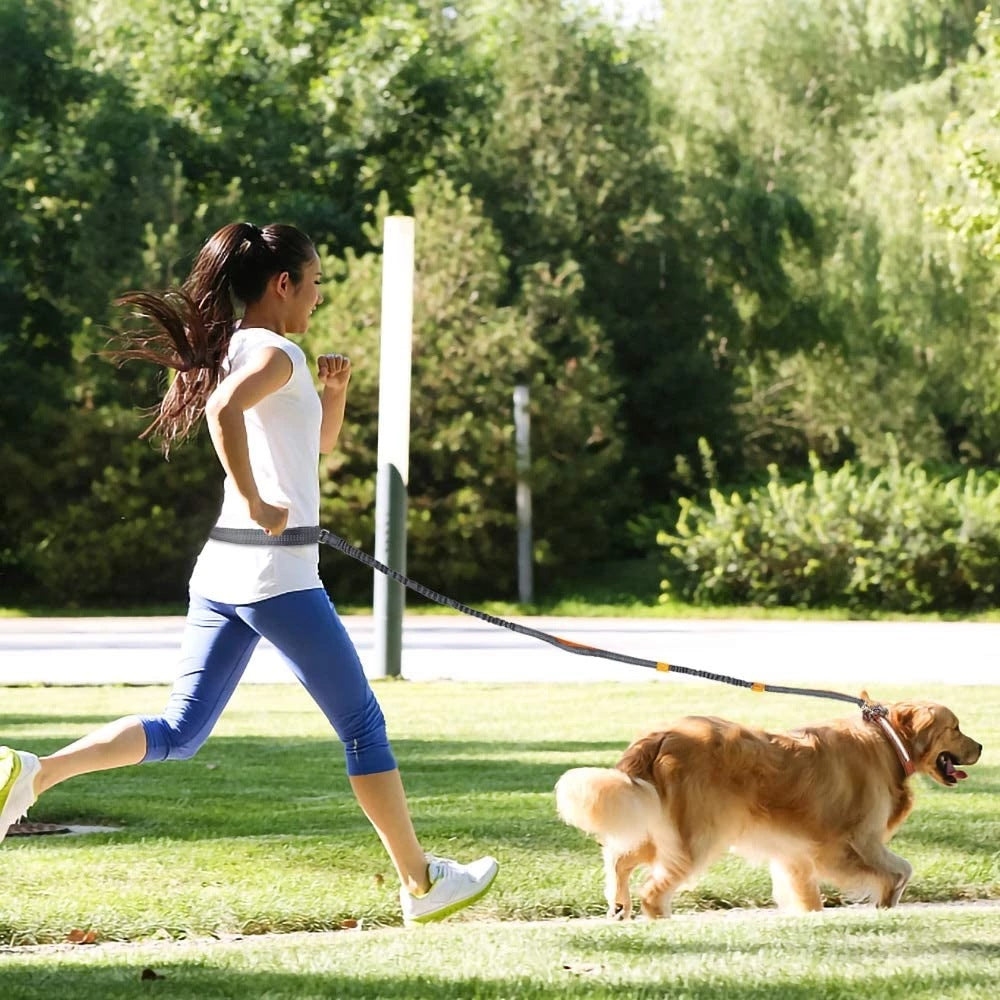 Adjustable Pet Harness Collar And Jogging Leash Set