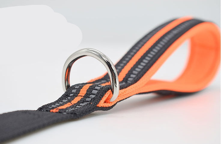 Nylon Retractable Assisted Pet Leash