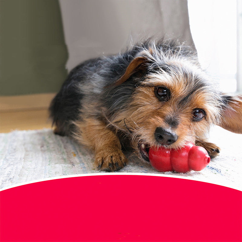 Bite Resistant Rubber Chewing Grinding Pet Toy