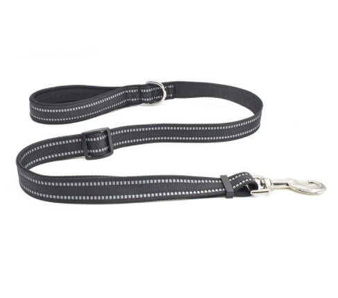 Nylon Retractable Assisted Pet Leash