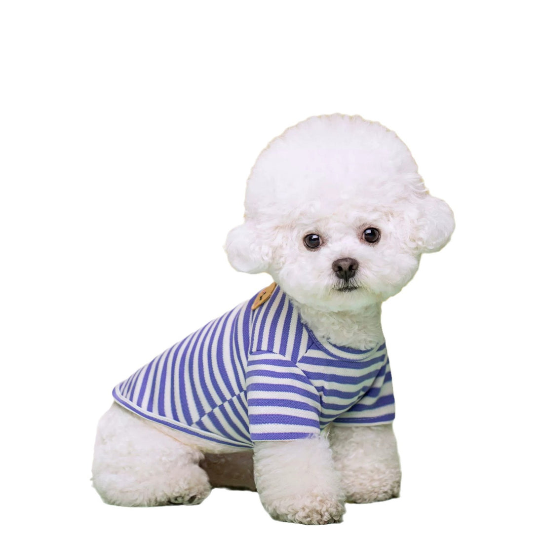 Breathable Summer Pet T-Shirt Apparel