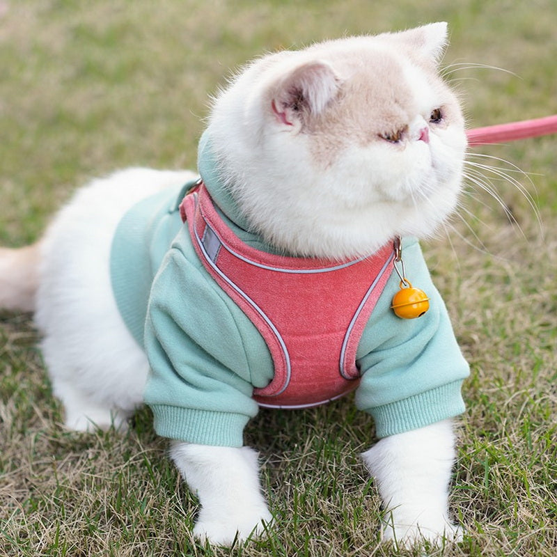 Vest Type Chest Harness Pet Leash