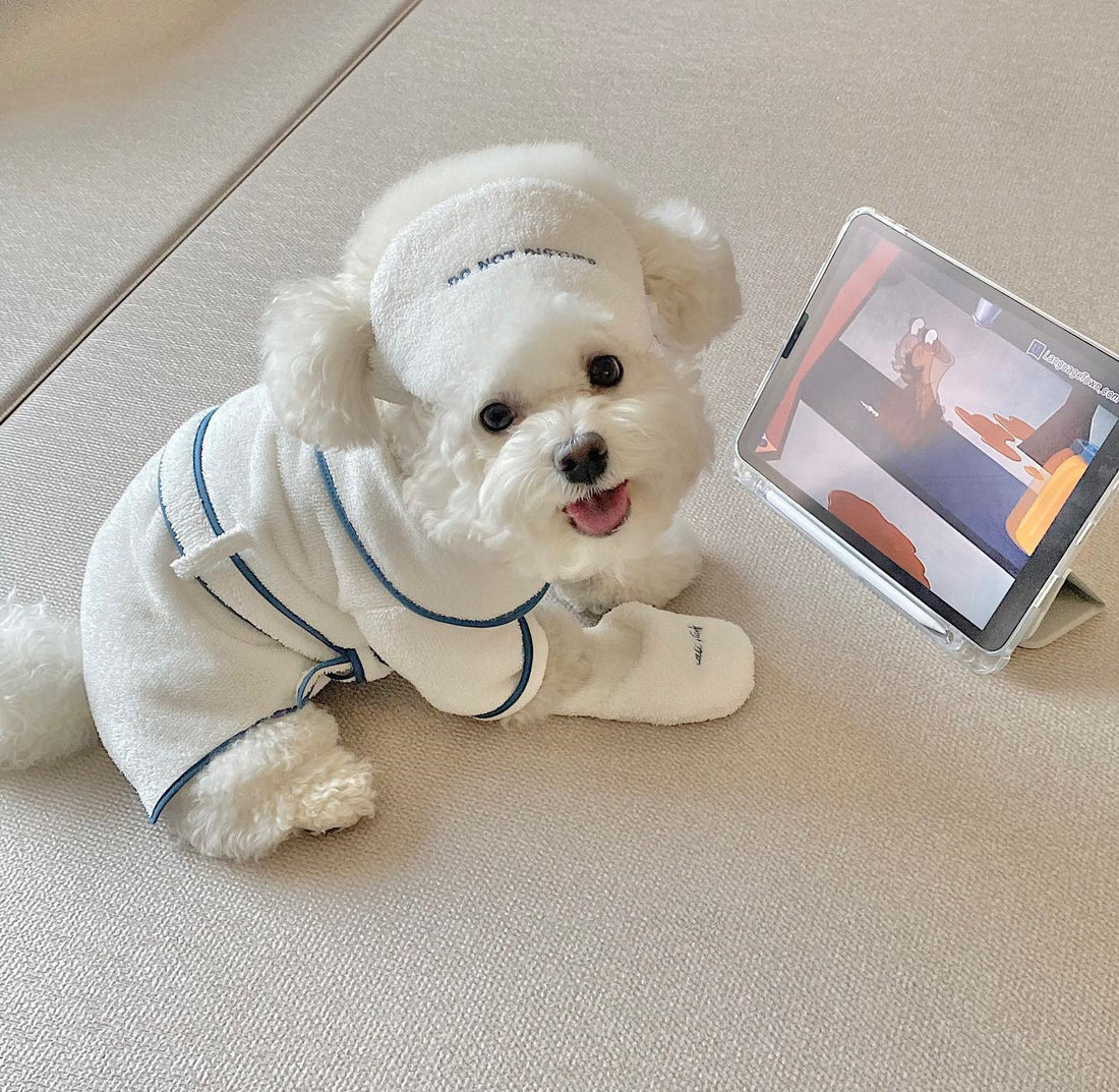 Pet Bath Towel Bathrobe Hotel Photography Prop