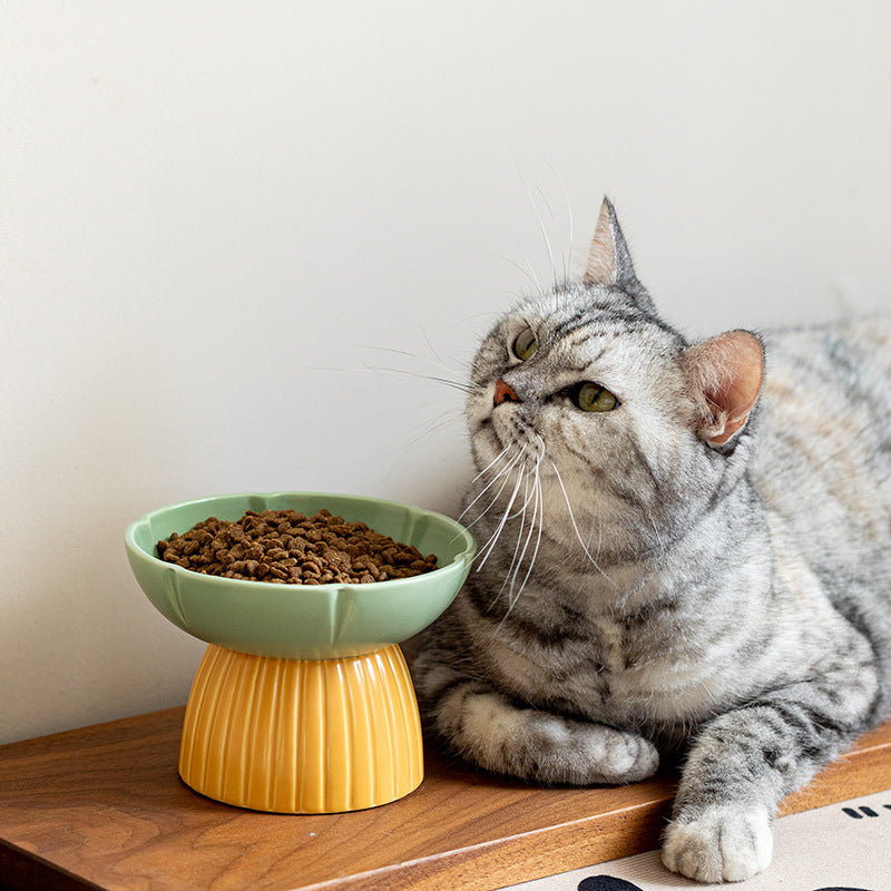 Macaron Color Ceramic Pet Feeding Bowl Set