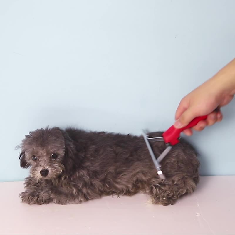 Extra Large Deshedding Pet Rake Grooming Comb