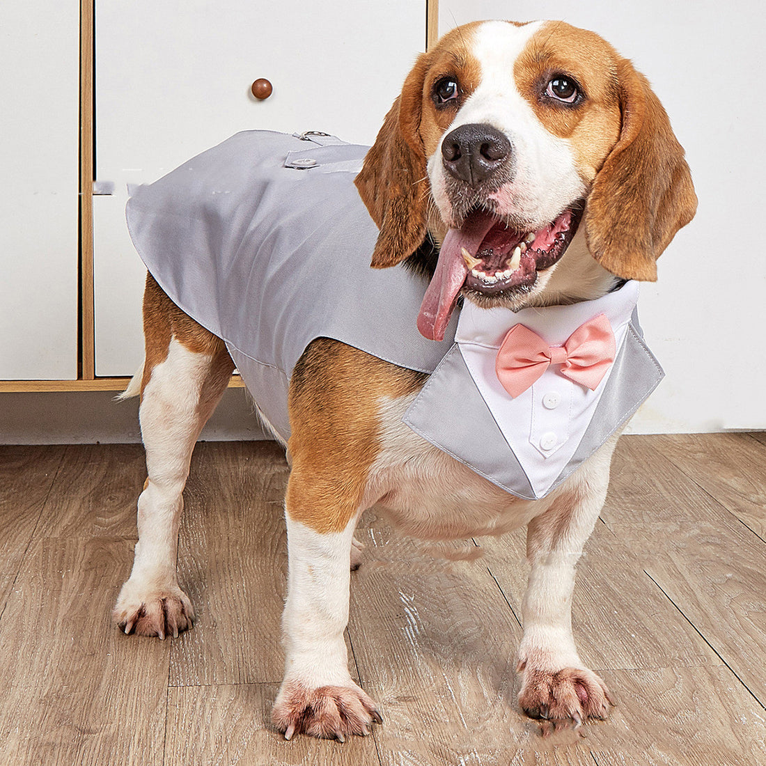Wedding Style Pet Suit Jacket Apparel