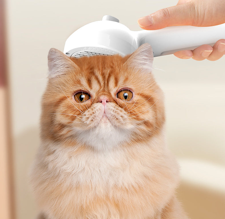 Self Cleaning Pet Grooming Comb Mist Humidifier Brush