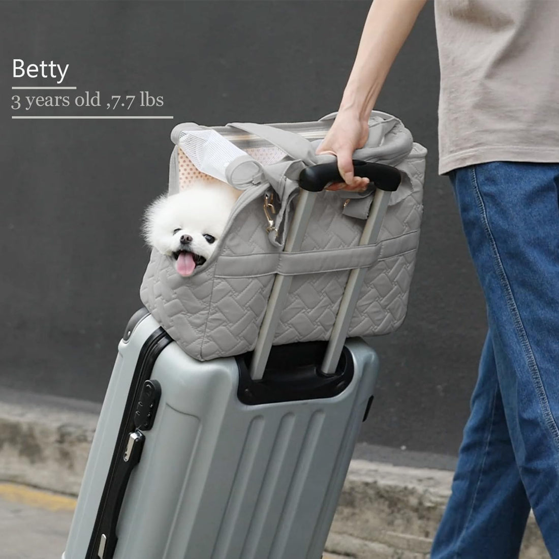 Breathable Mesh Pet Carrier Bag With Cushion And Pockets
