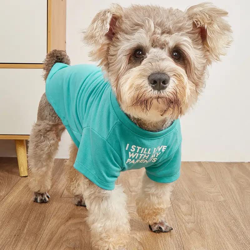 Round Neck Pet T-Shirt Apparel