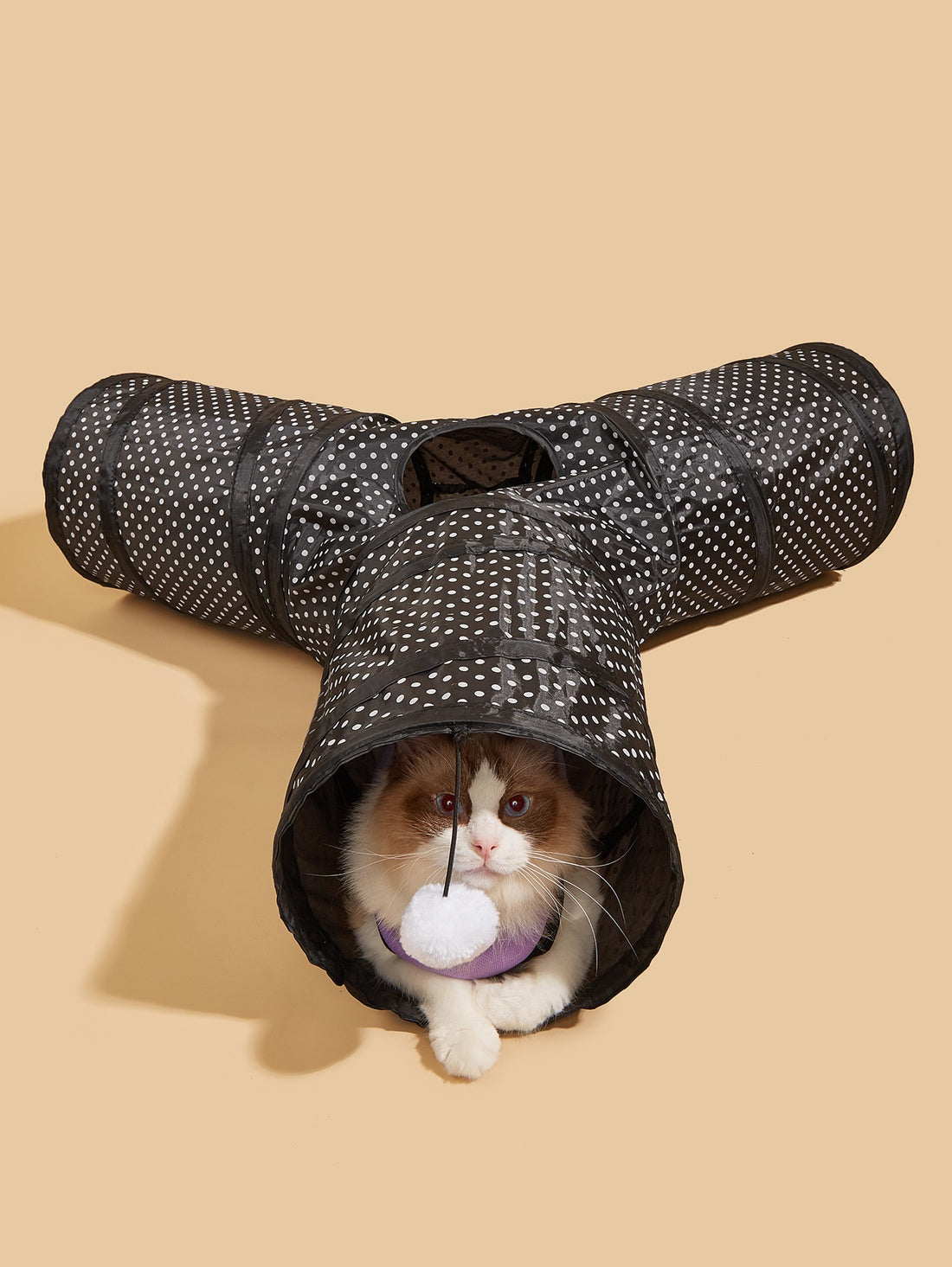 Collapsible Tunnel Interactive Pet Play Toy