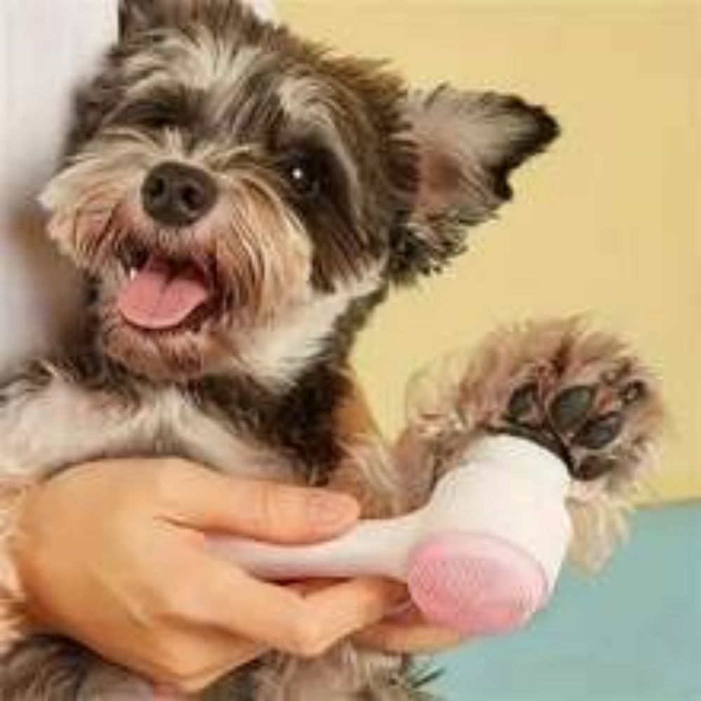 Gentle Nylon Pet Paw Brush Grooming Massage Tool