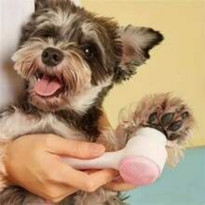 Gentle Nylon Pet Paw Brush Grooming Massage Tool