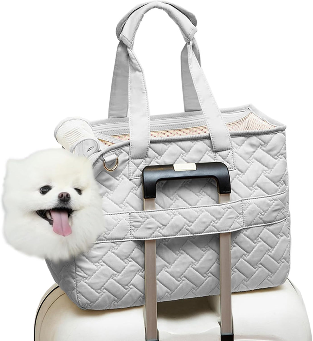 Breathable Mesh Pet Carrier Bag With Cushion And Pockets