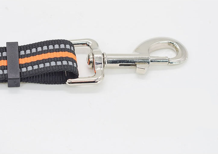Nylon Retractable Assisted Pet Leash