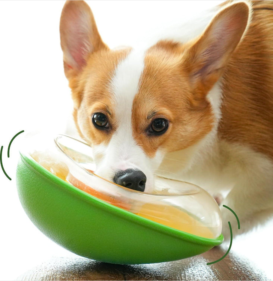 Anti-Tumble Avocado Pet Feeding Bowl Stand