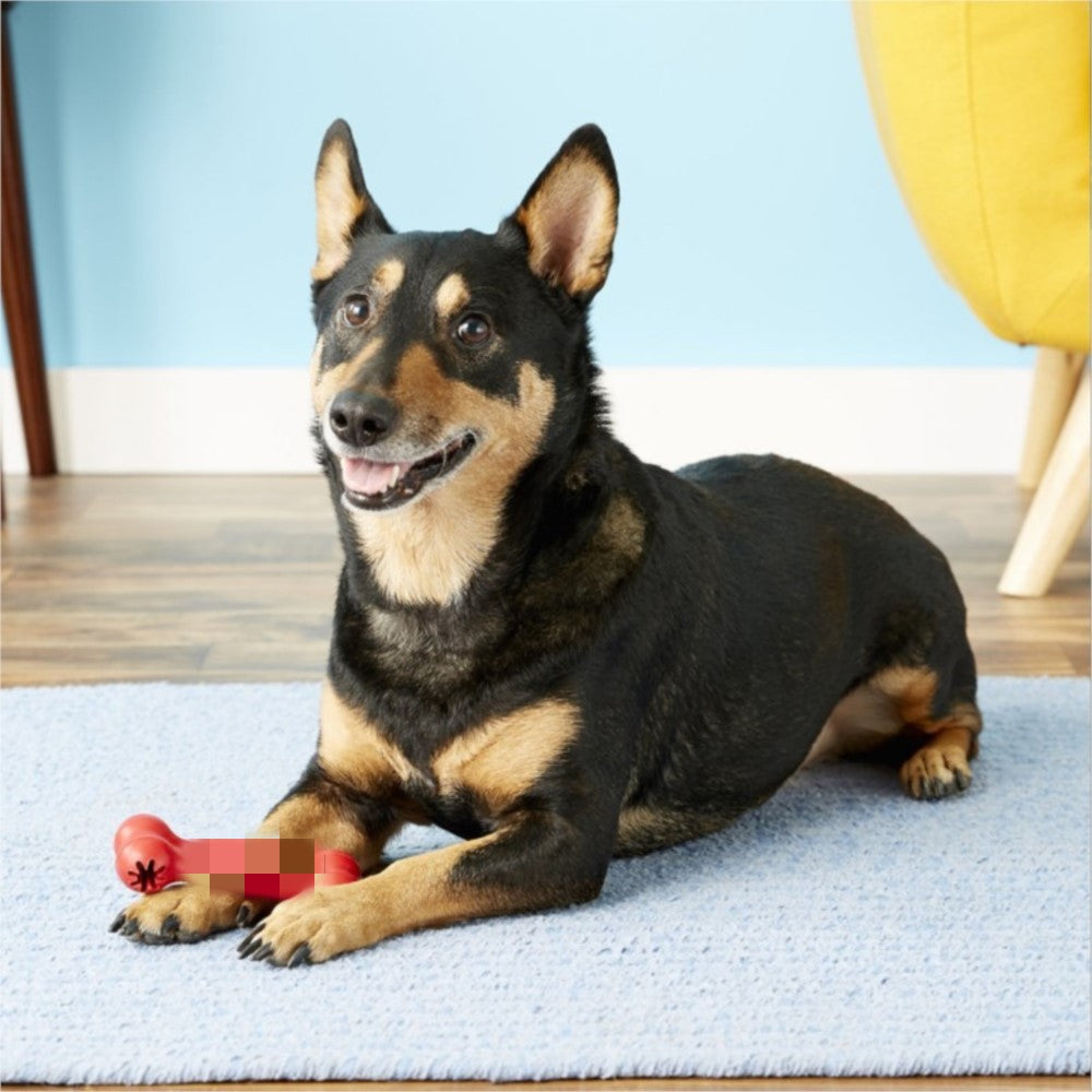 Pet Bite Resistant Rubber Teething And Chew Toy
