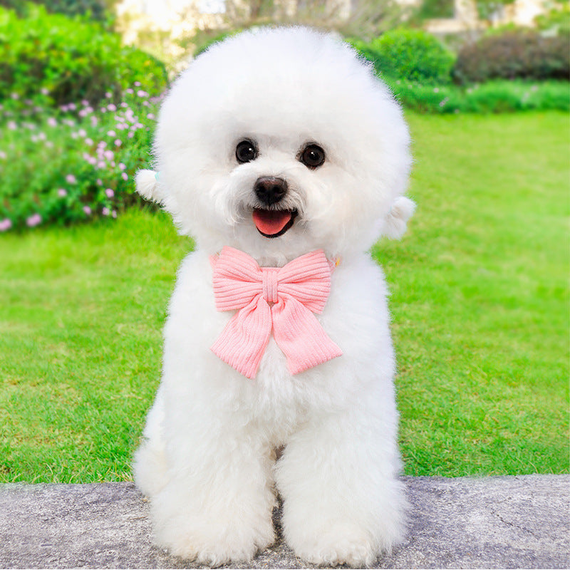 Outdoor Pet Harness And Leash Walking Set