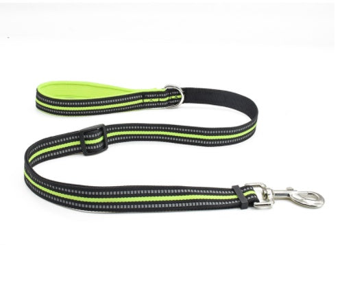 Nylon Retractable Assisted Pet Leash