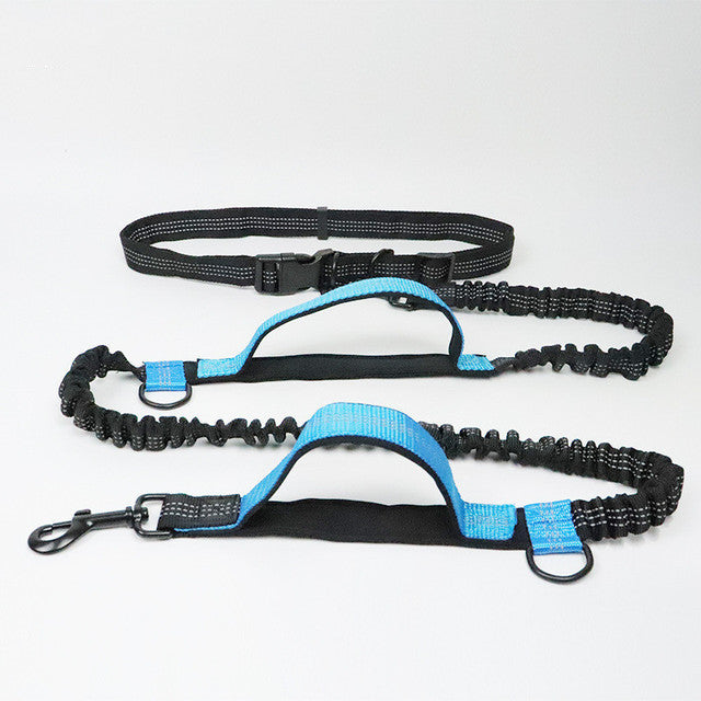 Adjustable Pet Harness Collar And Jogging Leash Set