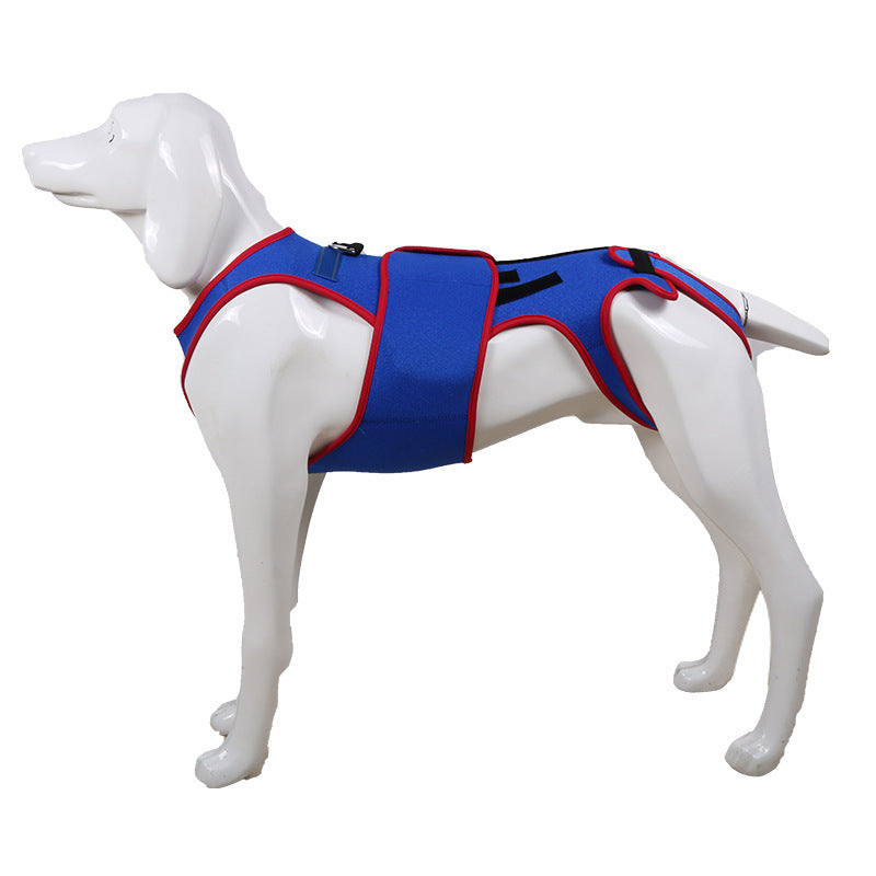 Spine Support Posture Correction Pet Jacket