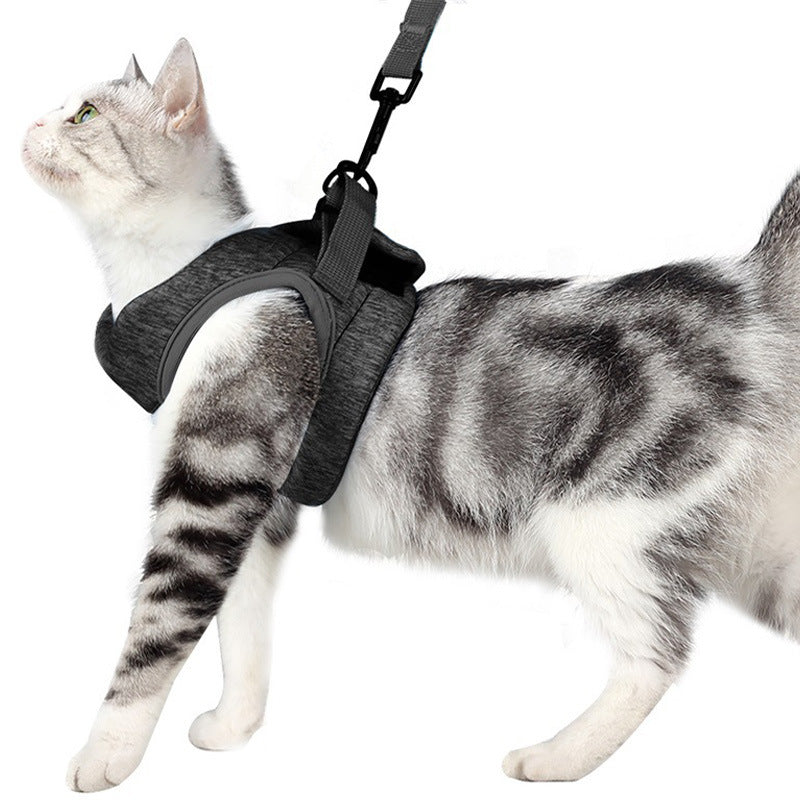Breathable Lightweight Pet Chest Strap And Lace Leash