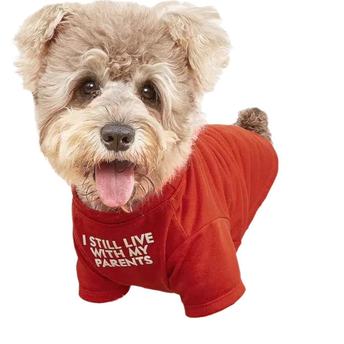 Round Neck Pet T-Shirt Apparel