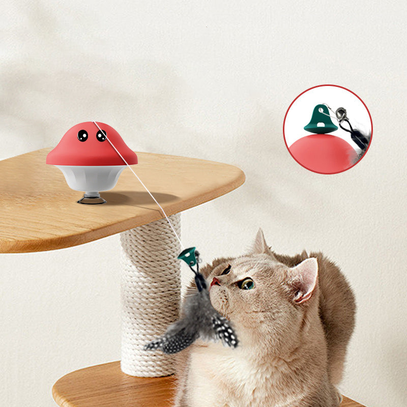 Retractable Pet Teaser Wand Toy With Suction Cup