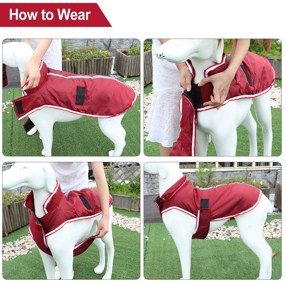 Warm Waterproof Pet Leisure Jacket Apparel