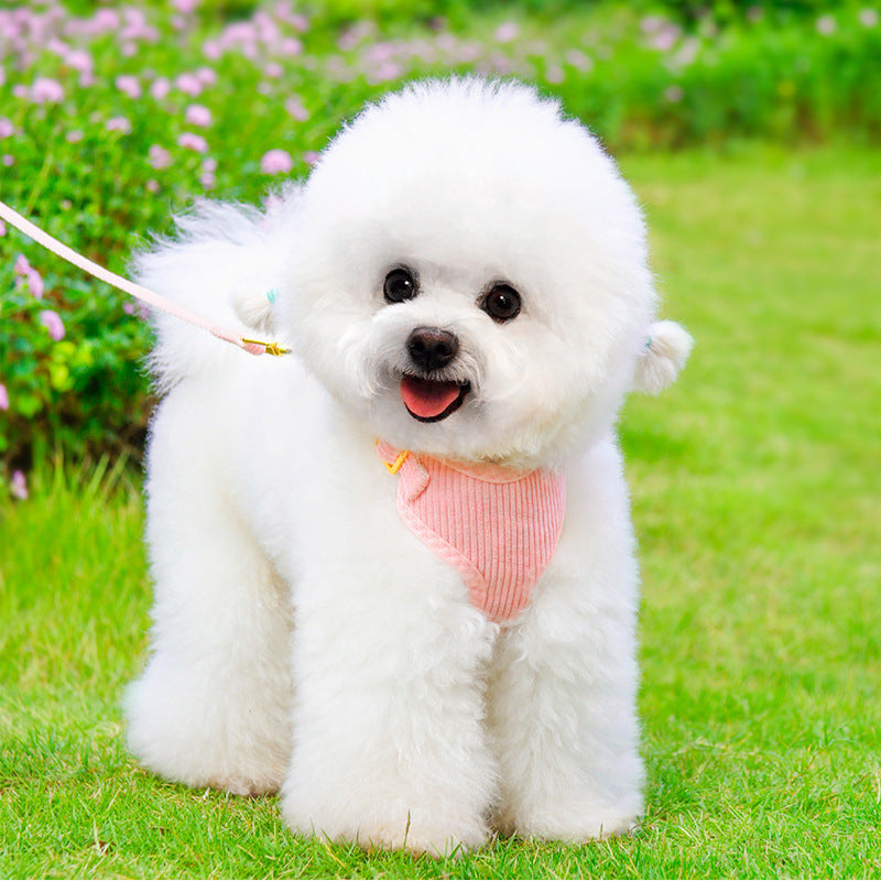 Outdoor Pet Harness And Leash Walking Set